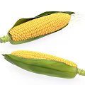 Modern Corn 3d model