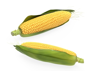 Modern Corn 3d model