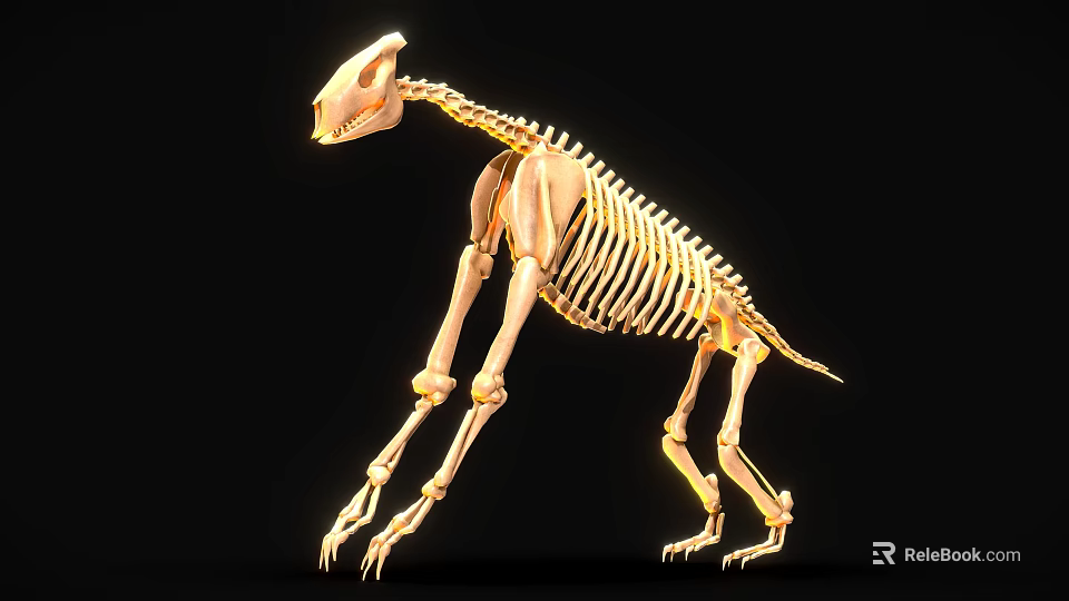 Light Colored Quadruped Mammal Skeleton On Black Background With Yellow Lighting Highlights 3d model 