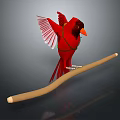 Red Cardinal Bird with Spread Wings Perched on Long Wooden Branch