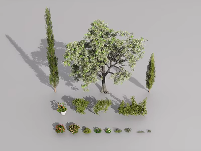 Diverse Garden Plants Featuring Large Tree Two Cypress Trees Small Shrubs And Potted Plants 3d model