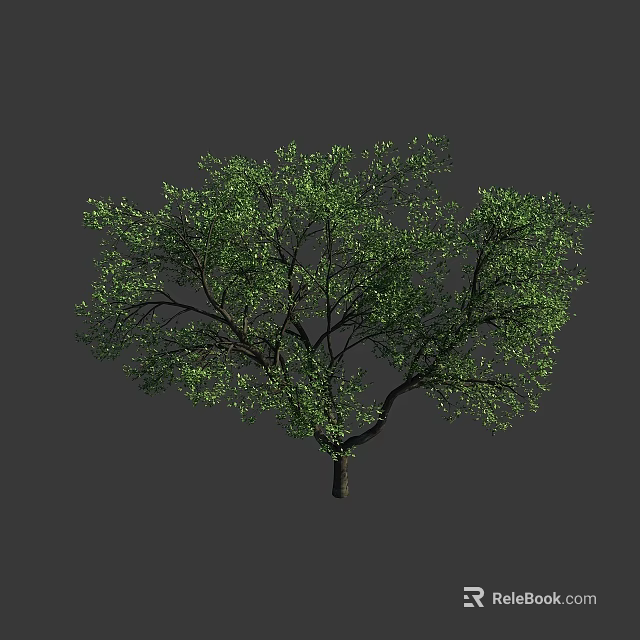 Lush Green Arbor With Dense Foliage And Strong Branches On Gray Background 3d model 
