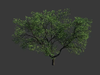 Lush Green Arbor With Dense Foliage And Strong Branches On Gray Background 3d model