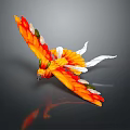 Vibrant Orange And Red Feathered Flying Animal Spreading Wings With White Tail Feathers
