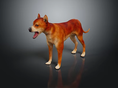 Brown Dog Standing with Open Mouth on Shiny Floor and Black Background 3d model