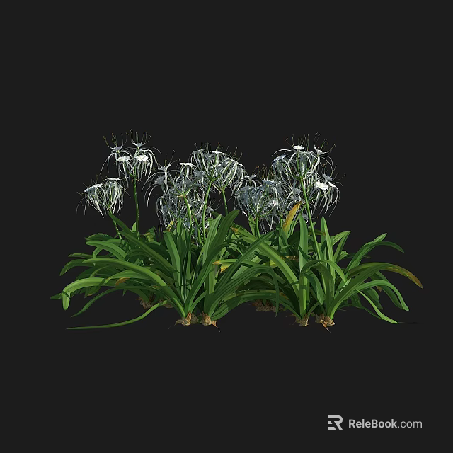 Beautiful Green Plants with White Flowers and Slender Petals on Dark Background 3d model 