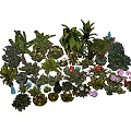Vibrant Cartoon Scene Showcasing Various Colorful Plants With Diverse Leaves And Flowers