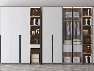 Modern wardrobe 3d model