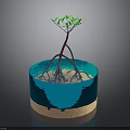 Small Green Tree Growing In Blue Water Container With Brown Base