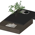 Two Tier Black Top Wooden Coffee Table With Clear Glass Vase Green Plant And Book