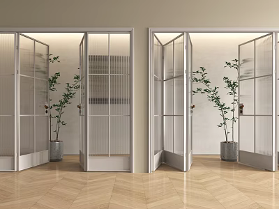 Modern Glass Folding Doors With Metal Frames And Potted Plants On Wooden Floor 3d model