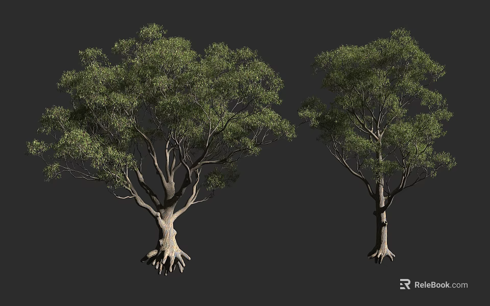 Two Arbor Trees with Green Foliage Trunk and Exposed Roots on Dark Background 3d model 
