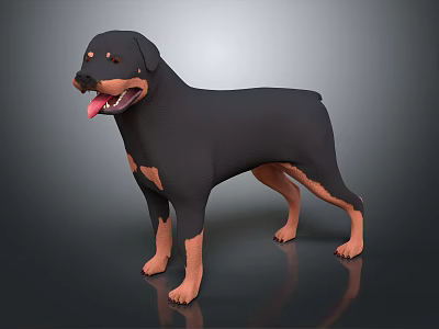 Realistic Rottweiler Stuffed Toy Black Brown Standing With Soft Smooth Texture 3d model