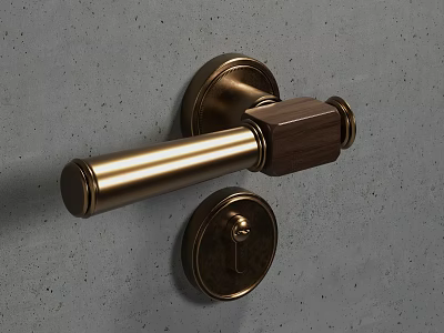 Brass and Wooden Door Handle with Keyhole Mounted on Gray Wall 3d model