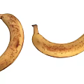 Two Ripe Bananas With Brown Spots On Yellow Peel For Daily Nutrition