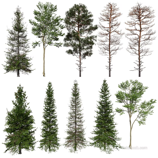 Various Types Of Arbor Trees Including Evergreen And Deciduous With Diverse Foliage 3d model 