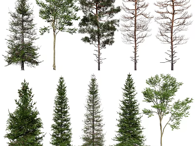Various Types Of Arbor Trees Including Evergreen And Deciduous With Diverse Foliage 3d model