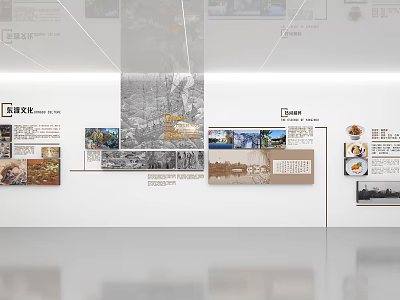 Exhibition Wall Display With Organized Images Text Descriptions And Information Panels 3d model