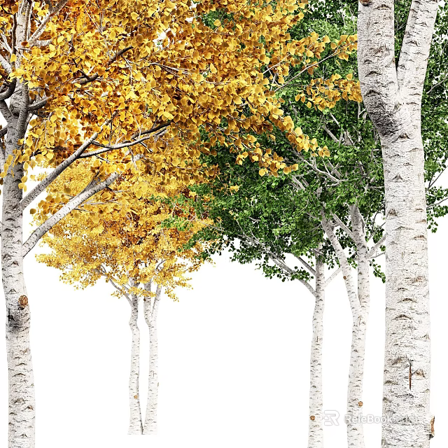 Vibrant Trees With Yellow And Green Leaves And White Trunks In Natural Scene 3d model 