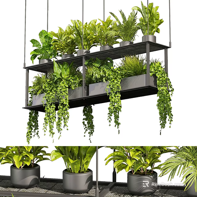 Stylish Indoor Hanging Planters With Lush Green Plants And Trailing Vines 3d model 