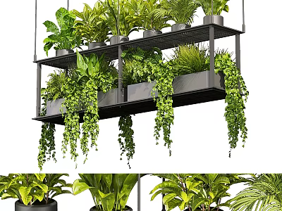 Stylish Indoor Hanging Planters With Lush Green Plants And Trailing Vines 3d model