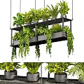 Stylish Indoor Hanging Planters With Lush Green Plants And Trailing Vines