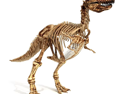 Detailed Dinosaur Skeleton Fossil With Prehistoric Bone Structure And Lifelike Anatomical 3d model