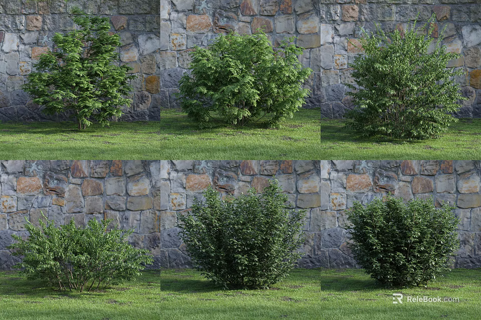 Various Types of Shrubs in Garden with Stone Wall and Green Grass 3d model 