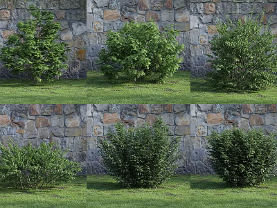 Various Types of Shrubs in Garden with Stone Wall and Green Grass 3d model