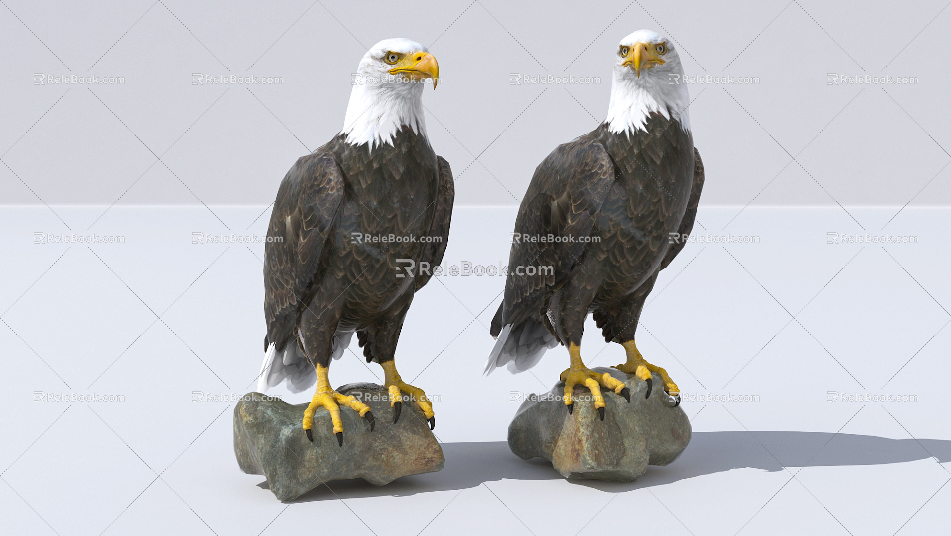 Modern Eagle Condor 3d model