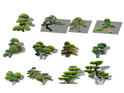 Diverse Styled Arbor Trees for Garden Landscape with Unique Shapes and Designs 3d model