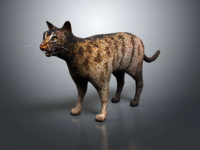 Detailed 3D Model of Tabby Cat in Standing Pose on Gray Background 3d model