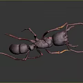 Detailed 3D Ant Model With Purple Body Red Yellow Legs And Grey Gradient Background
