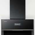 Robam Modern Kitchen Range Hood With Black Finish And Digital 3d model