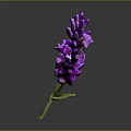 Purple Lavender Bouquet With Green Stem And Leaves On Dark Background