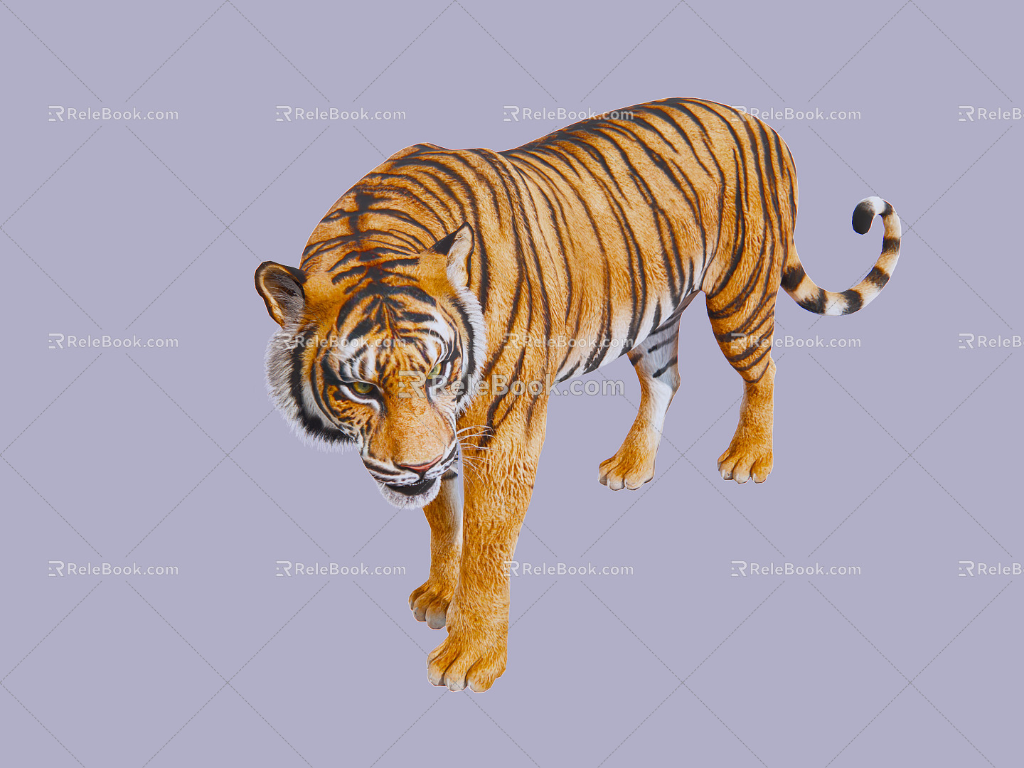 The Modern Tiger 3d model