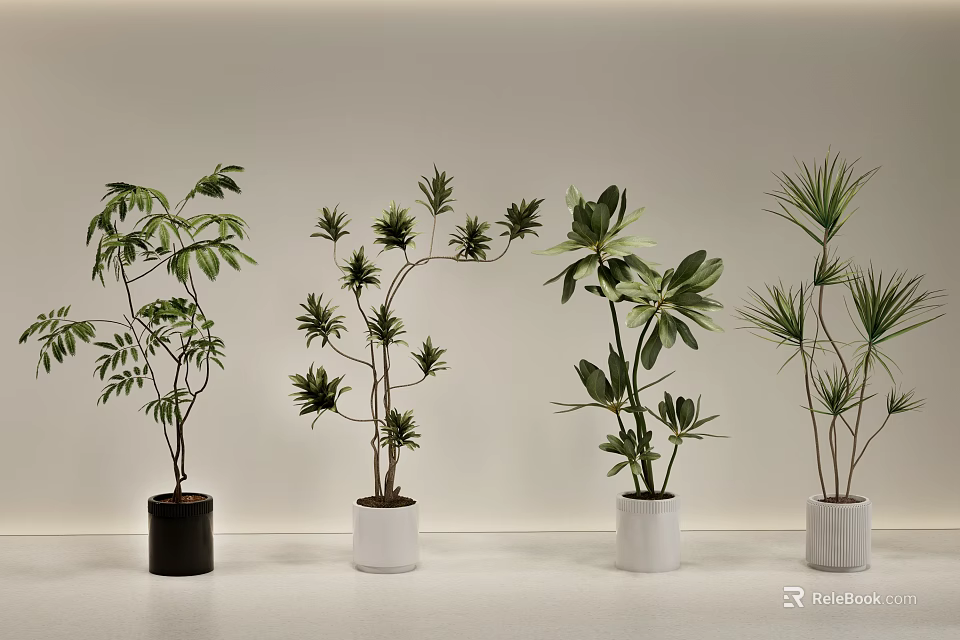 Different Types of Decorative Bonsai Potted Plants in White and Black Pots 3d model 