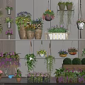 Indoor Decorative Bonsai and Potted Plants with Hanging Baskets and Shelf Displays