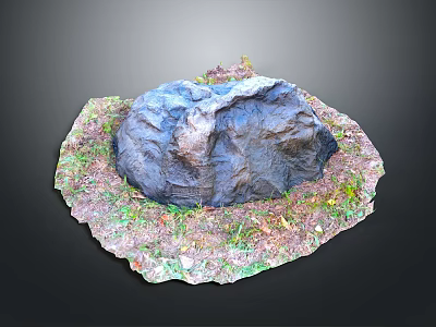 Garden Landscape Design Featuring Natural Large Rock Surrounded by Green Grass and Fallen Leaves 3d model
