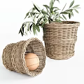 Wicker Storage Baskets Including Tilted One with Egg and Standing One with Plant