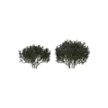 Decorative Ornament Set Including Green Shrubs and White Flowers for Indoor Decoration Various Angles