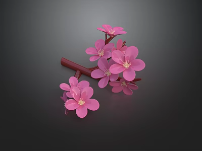 Delicate Pink Flowers with Multiple Petals and Red Branches on Dark Background 3d model