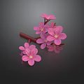 Delicate Pink Flowers with Multiple Petals and Red Branches on Dark Background 3d model