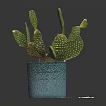 Green Cactus Plant with Prickly Pads in Blue Textured Ceramic Pot Placed on Dark Background