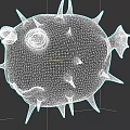 Purple Puffer Fish With Spikes And Skull Patterns On Dark Background