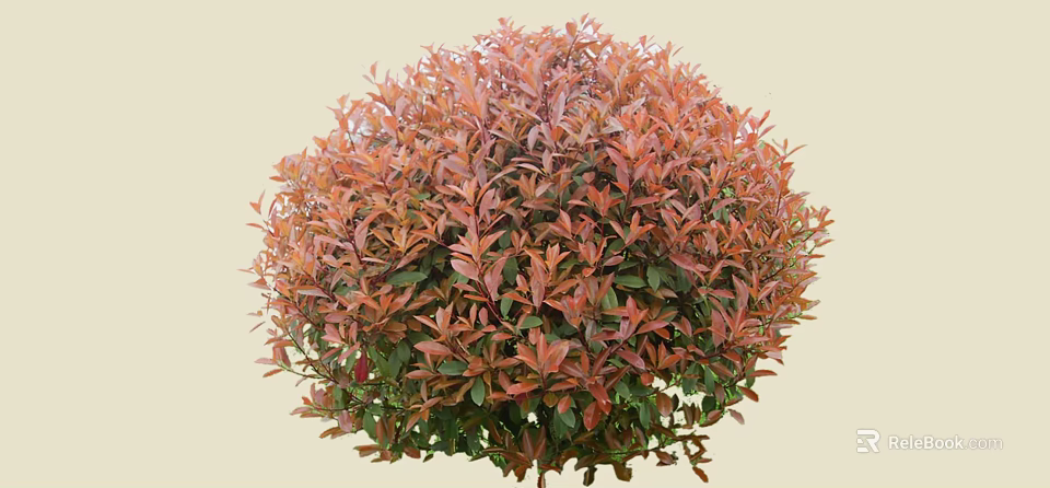Vibrant Round Shrub With Red Brown And Green Healthy Lush Leaves 3d model 