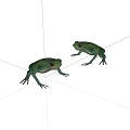 Realistic Two Green Frog Figurines With Detailed Features On White Background