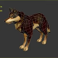 Brown And Tan Wolf With Green Eyes Standing On Dark Background
