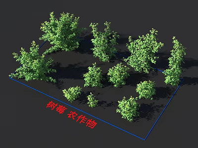 Raspberry Crops With Various Size Growing Plants Arranged In A Grid Pattern 3d model