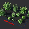 Raspberry Crops With Various Size Growing Plants Arranged In A Grid Pattern 3d model